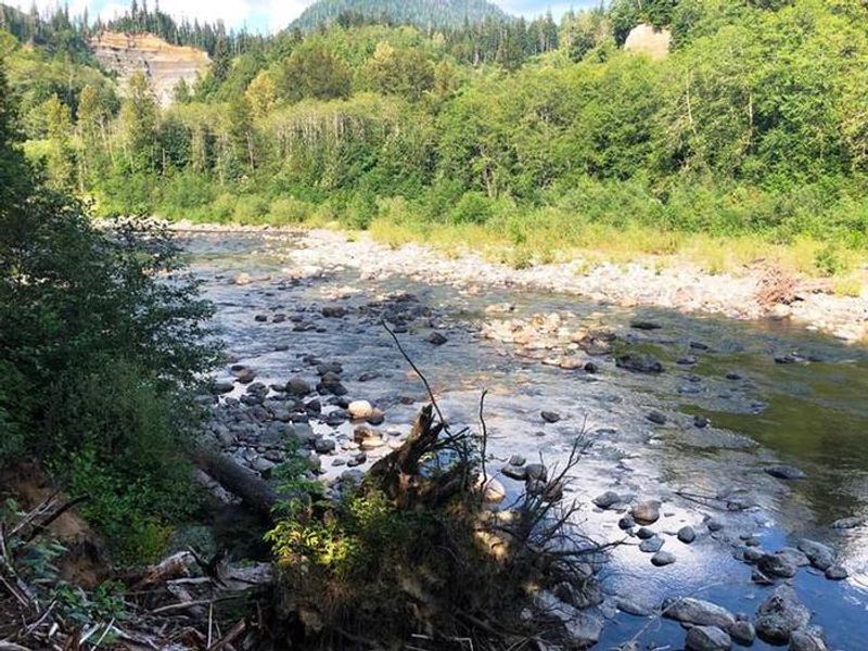 Gold Basin Campground