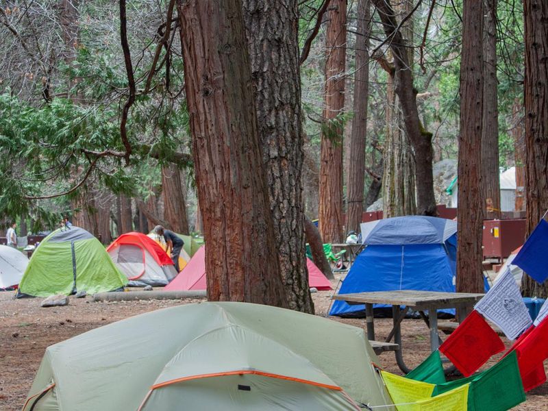 This is a view of the Camp 4 campground with tents