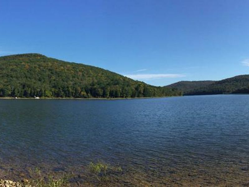 Dewdrop -Allegheny Reservior