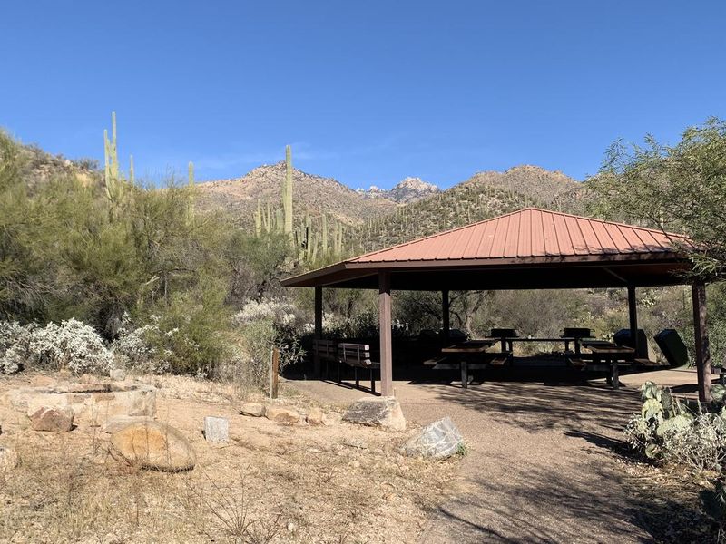 Cactus Ramada 1 in Sabino Canyon with a stone fire pit ring.
