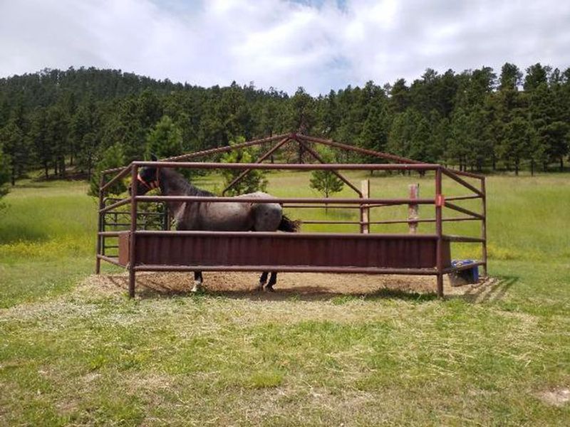 Horse Corral 