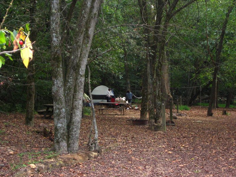 Campsite at Glade Creek Campground