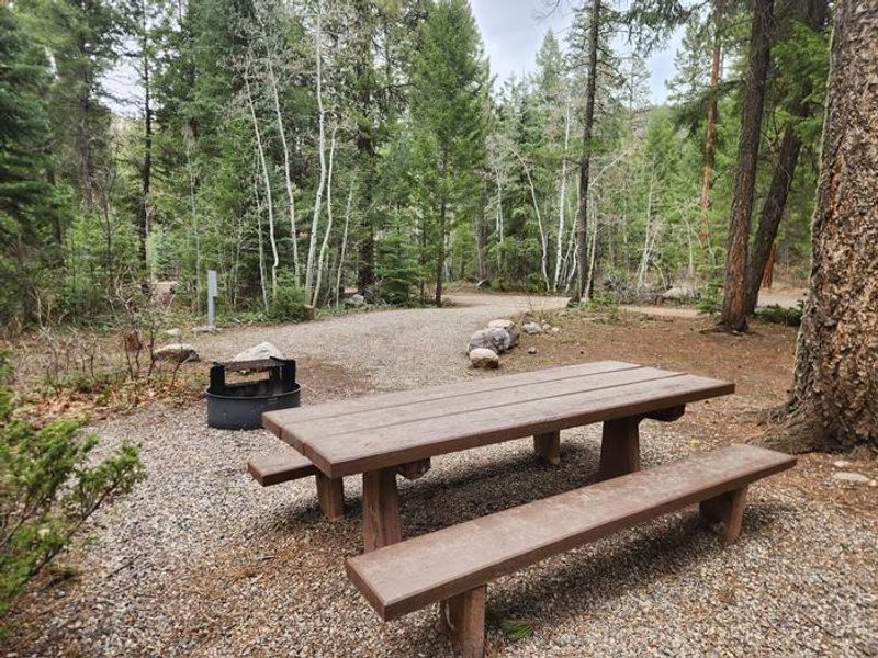 Campsite with picnic table, fire ring, and electrical pedestal in pine trees