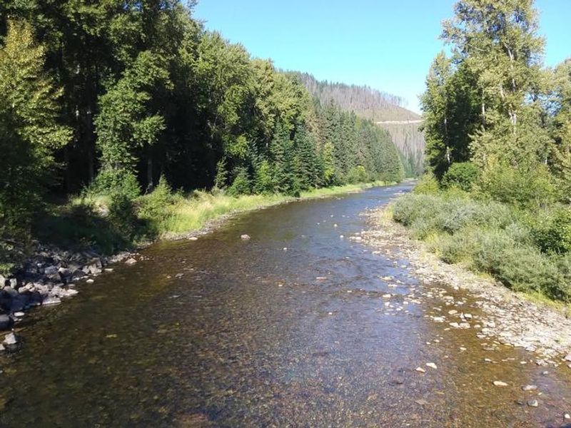 Coeur d’Alene River at Big Hank Campground