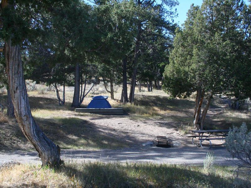 Mammoth Campsite #72