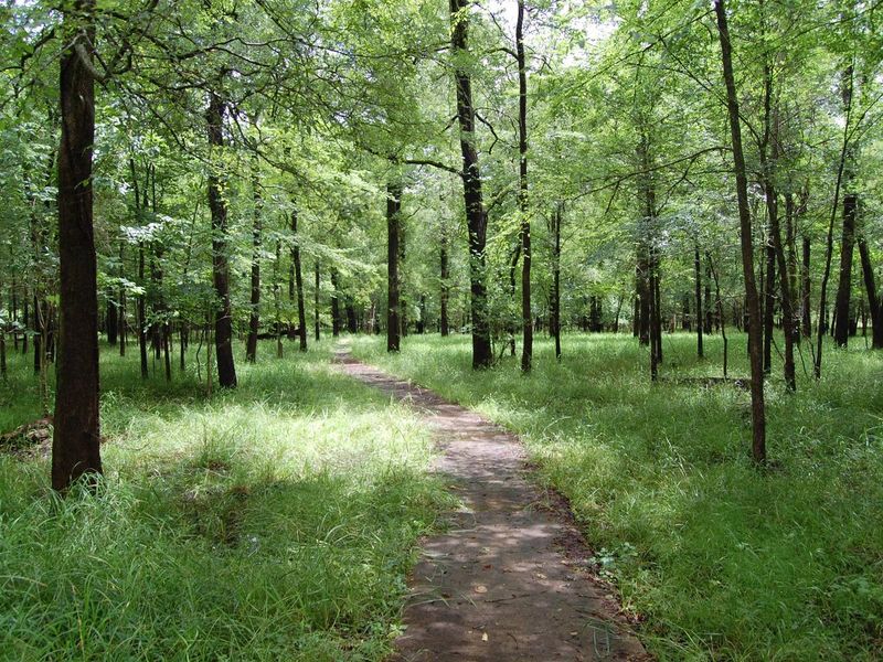 Beard's Lake Nature Trail