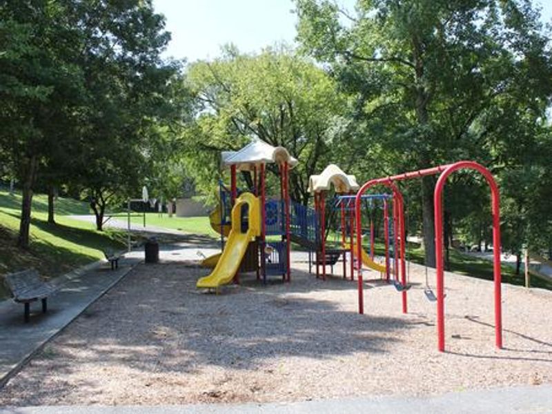 Campground Playground & Basketball Goal