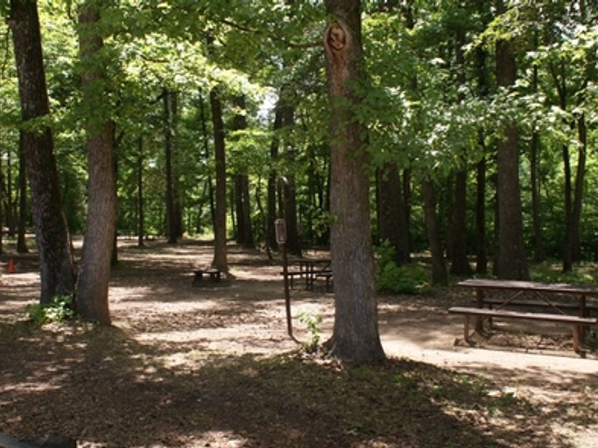 Erbie Campground photo 2