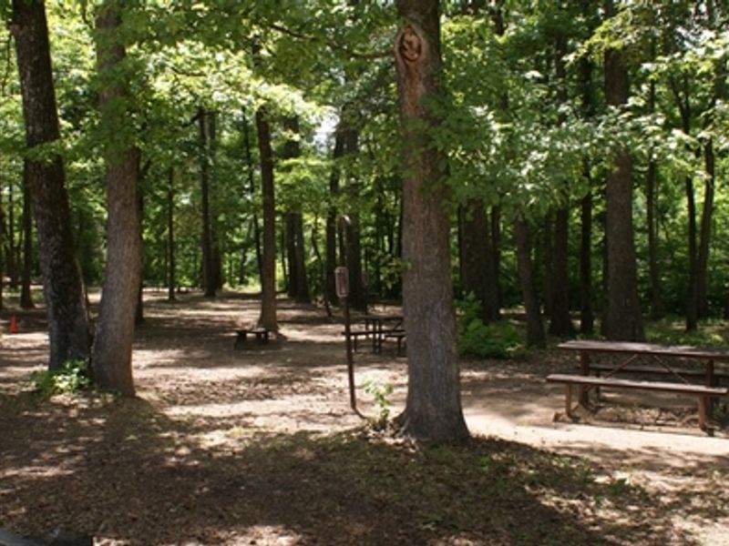 Walk in tent sites at Erbie