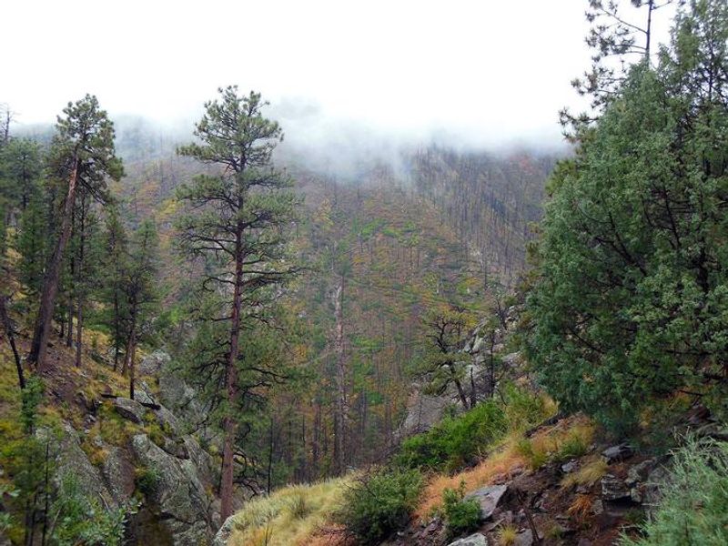 View from Upper Crossing. Bandelier is home to over 70 miles of trails, much of which is accessible from the trailhead located at Ponderosa Group Campground