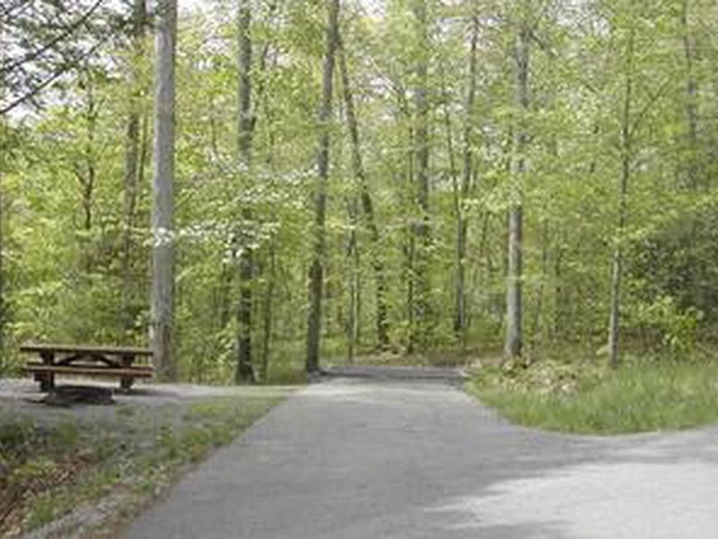 Picnic table at a campsite