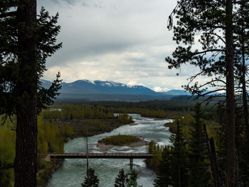 The road to Logging Lake.