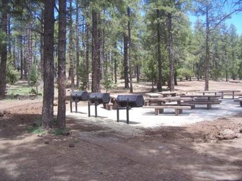 picnic area