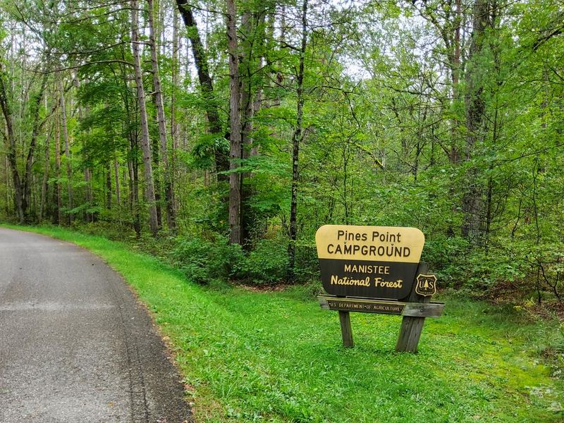 Pines Point Campground