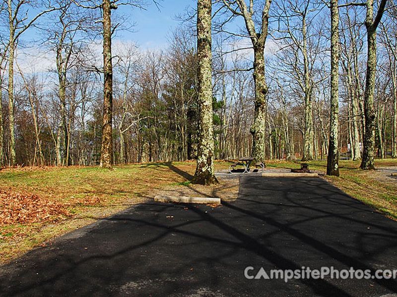 Lewis Mountain Campsite #10