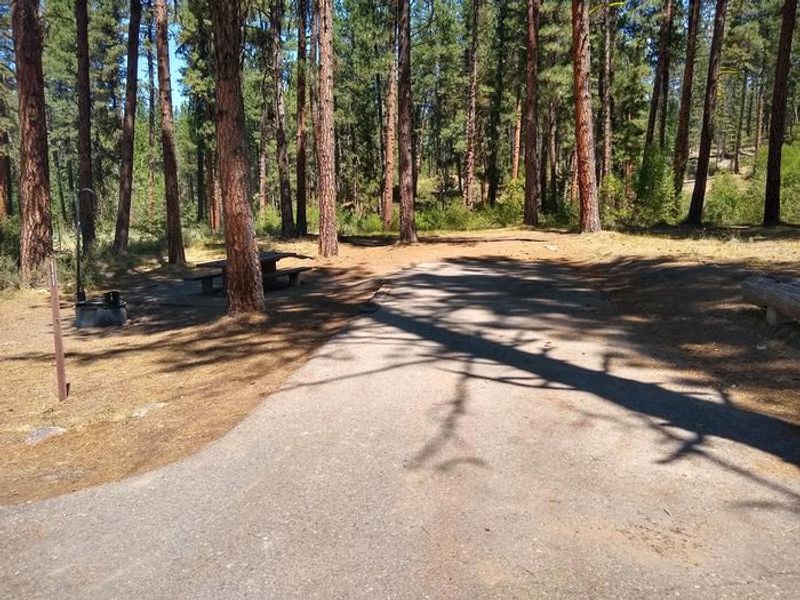 Greyback Gulch Site 11.