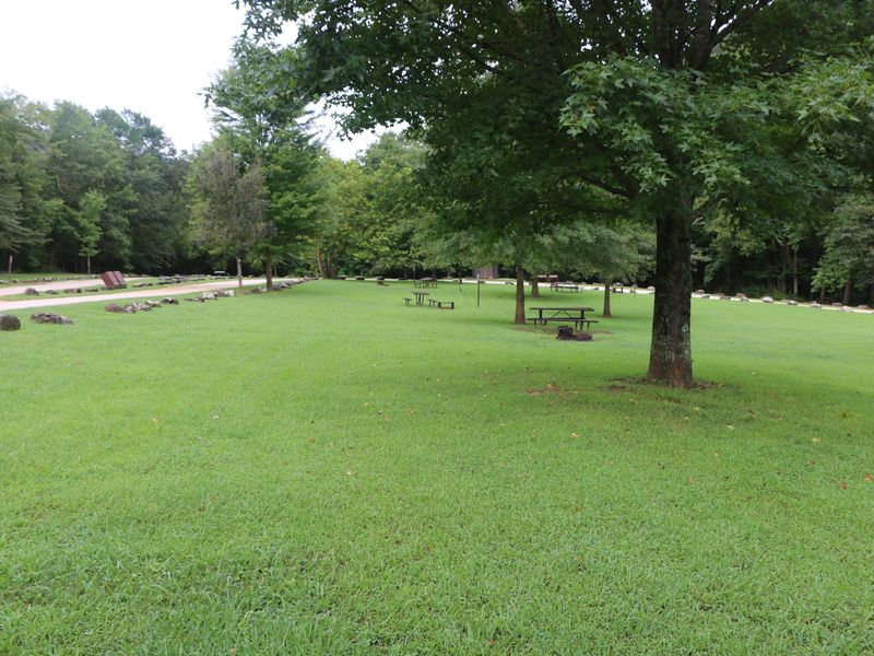 Wonderful tent camping opportunities exist at Kyle's Landing.
