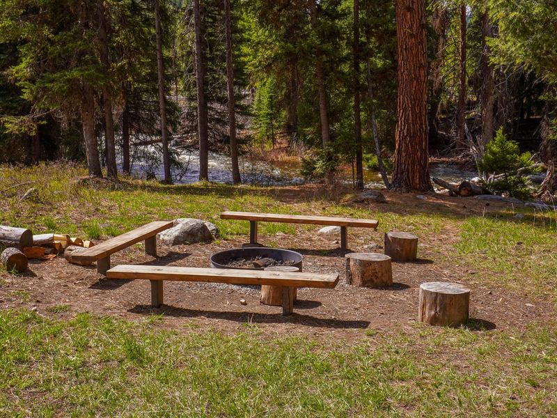 Fire ring below the cabin