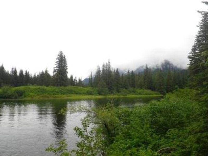 Mount Rynda Cabin scenery
