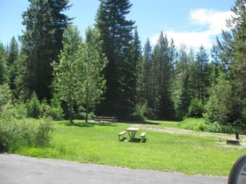 Trees and picnic table