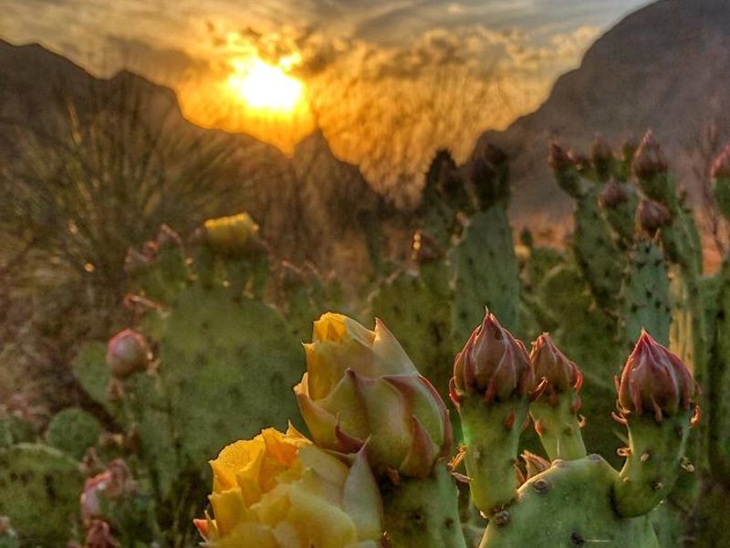 Big Bend National Park