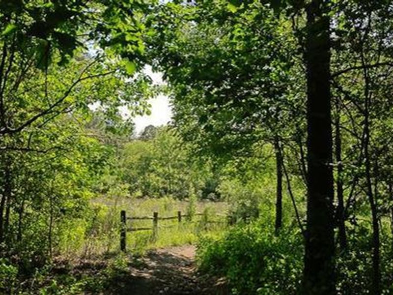 Access to Home Trail directly from your campsite.