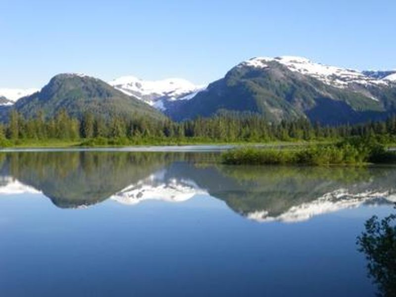 Shakes Slough 1 Cabin scenery