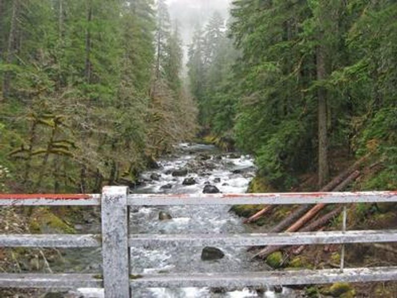 Overlooking the Ohanapecosh River from the campground bridge.