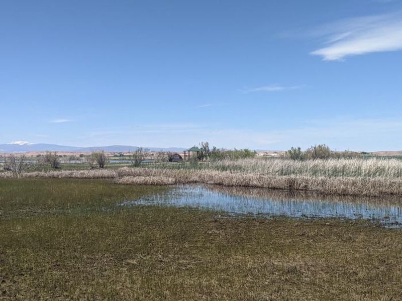 Spring at Pelican Lake 