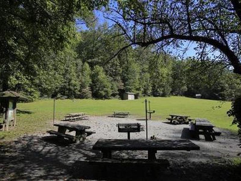 Picnic Area at Lower Cove Creek- Partially Shaded 