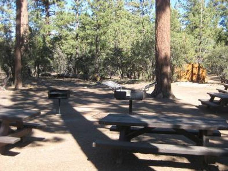 BBQ Grills & Picnic Tables at Tanglewood Group Camp Sign