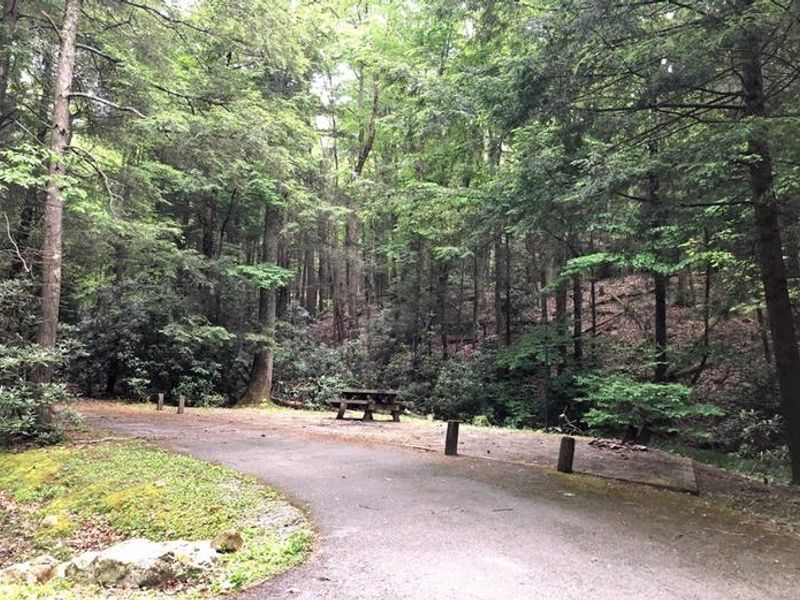 Views of Hurricane Campground 