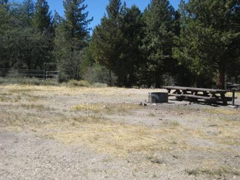 Fire Pit & Picnic Tables at Green Spot Equestrian Group Camp
