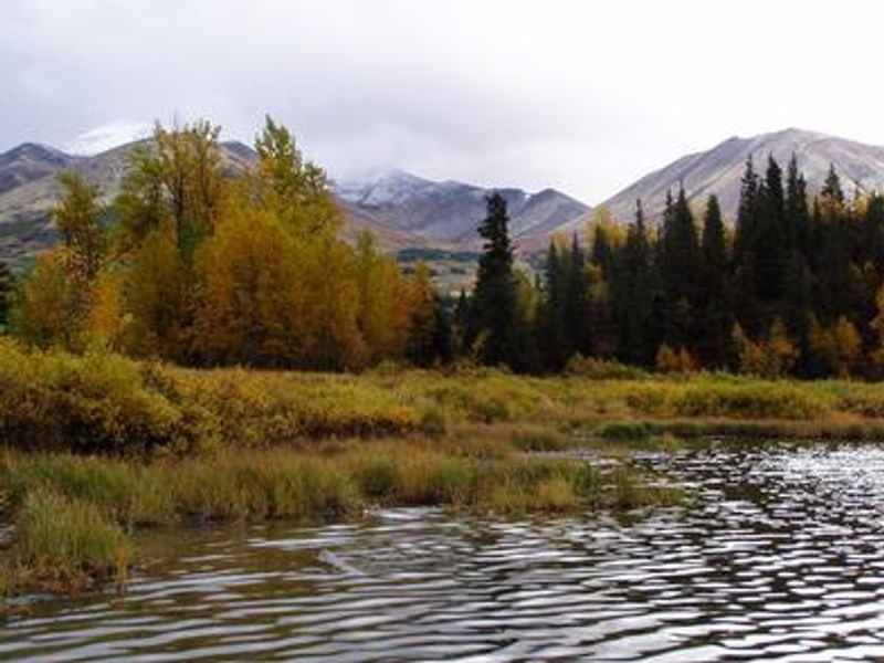 SWAN LAKE CABIN SEWARD