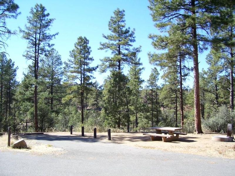 Uncovered camp site in the afternoon shade along a paved road.