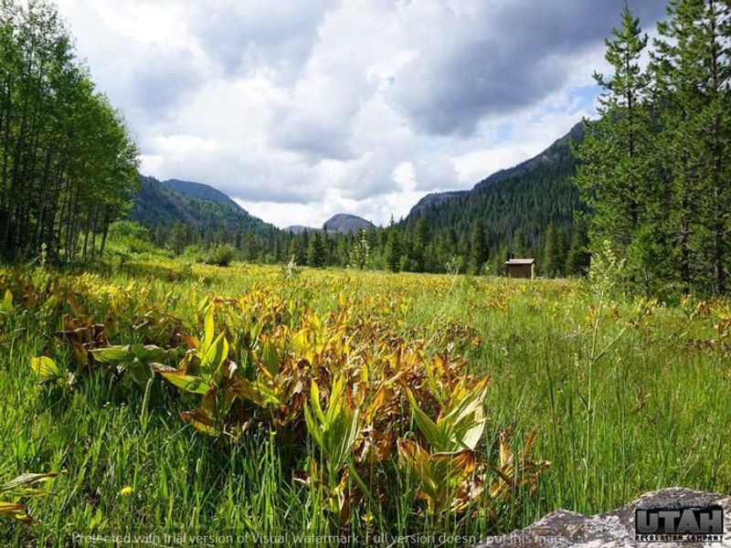 LEDGEFORK CAMPGROUND