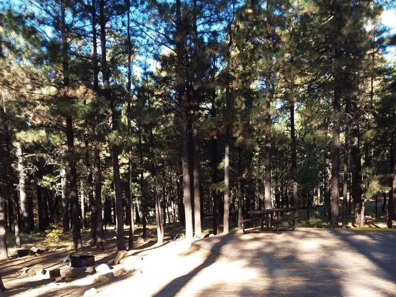 SINKHOLE Campground Partially Shaded Standard Site