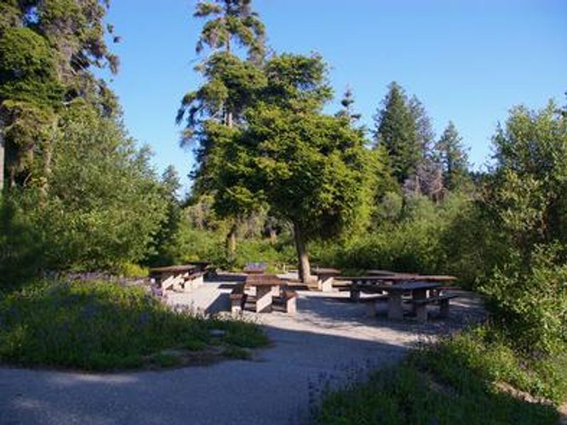 Shafer Butte Campground