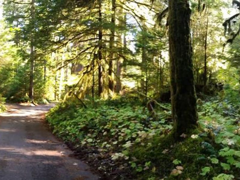 Iron Creek Campground