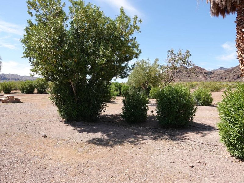 Boulder Beach Group Site 3