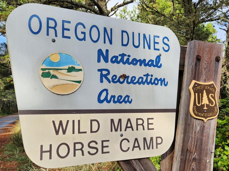 WILD MARE HORSE CAMP