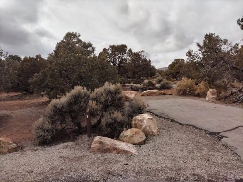 Site 9 driveway at Natural Bridges