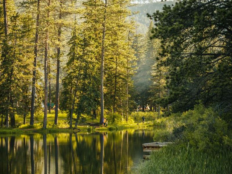 Dalton Lake - Looking West