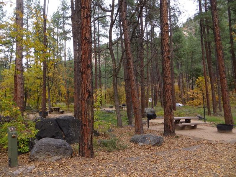Pine Flats Campground in the Fall