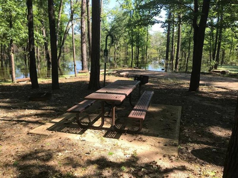 Campsite #6. Tent site with the following amenities: fire-pit, grill, picnic table, lantern pole, trash can.