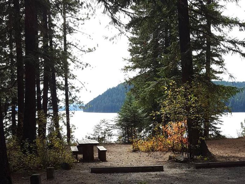 Reeder Bay Campground Site 19