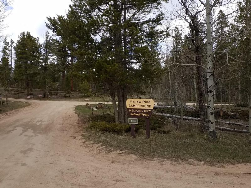 Yellow Pine CG entry