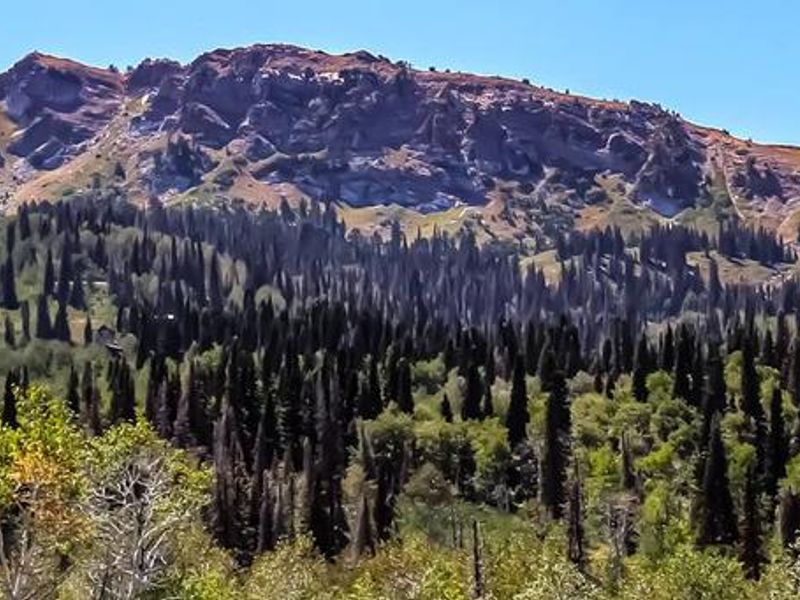 Bountiful Peak Campground