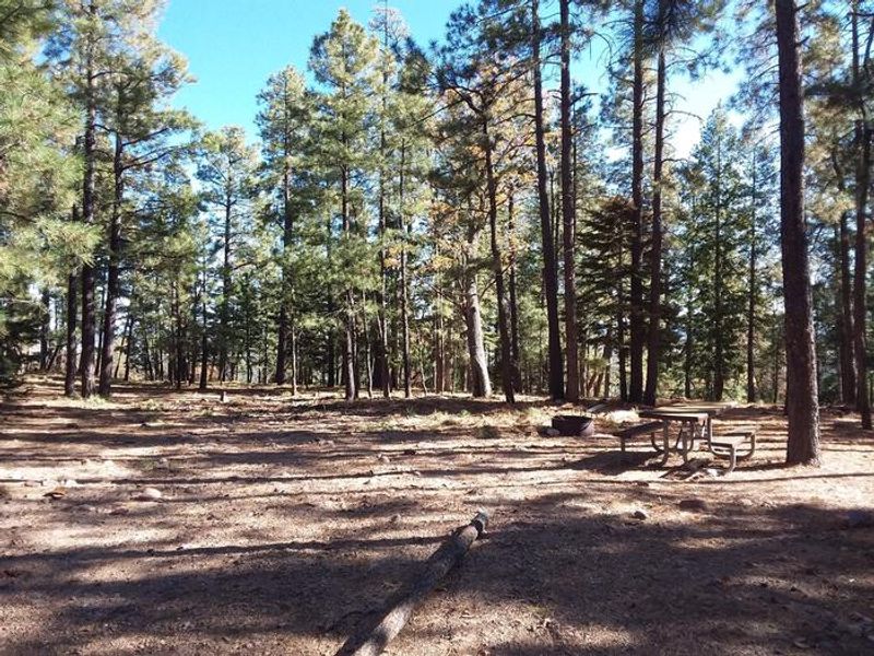 Gentry Group Campground