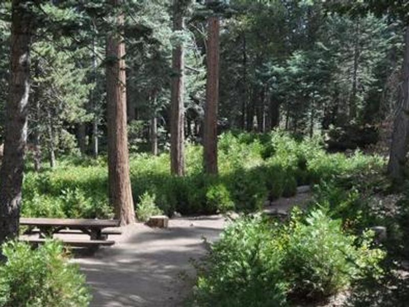 Beautiful view of Dogwood Campground